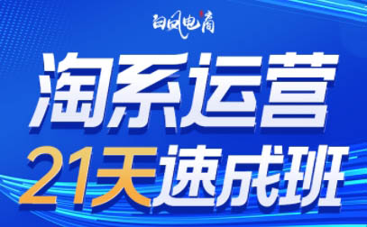 白凤电商·淘系运营21天速成班(更新2月)-智云网