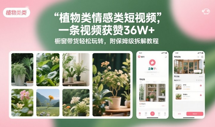 植物类情感类短视频，一条视频获赞36W+，橱窗带货轻松玩转，附保姆级拆解教程-智云网