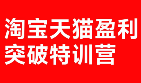 玺承·淘宝天猫盈利突破特训营(25年12月线下课)【音频+字幕】-智云网