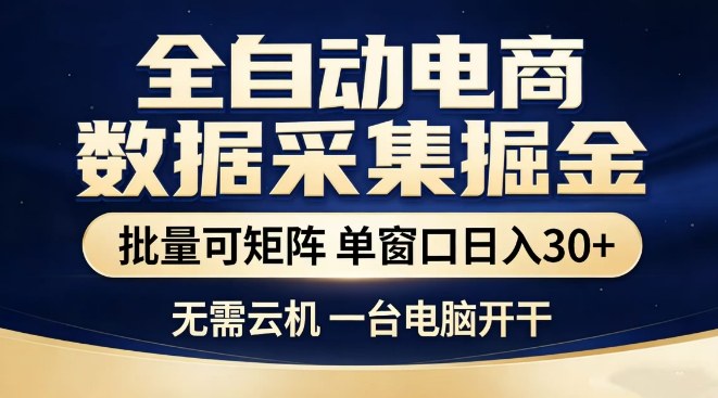 全自动电商数据集掘金，批量可矩阵，单窗口日入30+，无需云机，一台电脑开干【揭秘】-智云网
