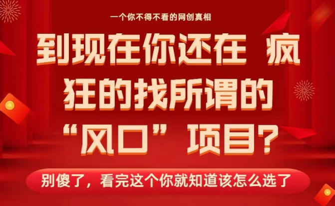 马上26年了,你还在找所谓的风口项目?别傻了,看完这个你全都懂了!【揭秘】-智云网