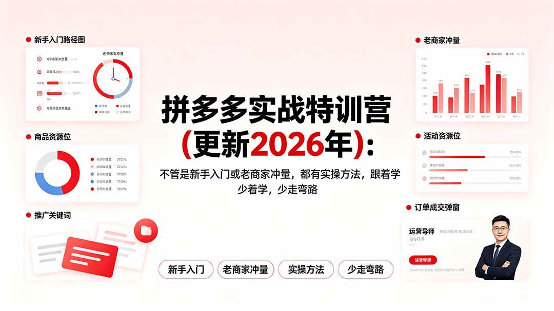 （19291期）拼多多实战特训营(更新2026年)：不管是新手入门或老商家冲量，都有实操方法，跟着学，少走弯路-智云网