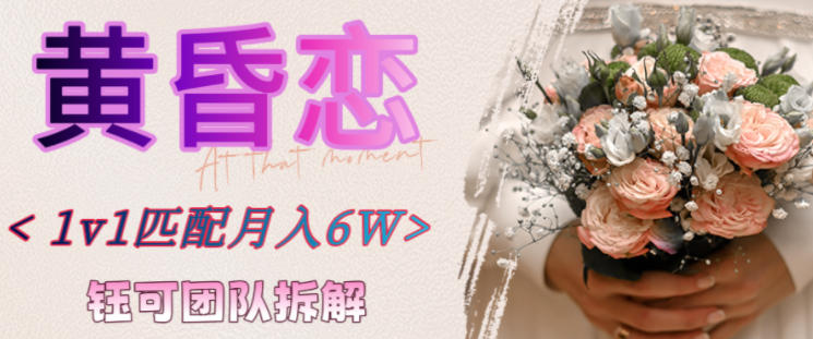 副业拆解:黄昏恋1对1匹配月入6个,潜力巨大-智云网