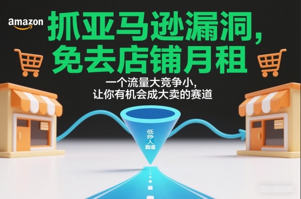 抓亚马逊漏洞,免去店铺月租,一个流量大竞争小,让你有机会成大卖的赛道-智云网