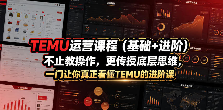 TEMU运营课程(基础+进阶),不止教操作,更传授底层思维,一门让你真正看懂TEMU的进阶课-智云网