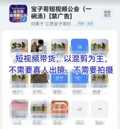 宝子哥头部团队短视频带货，以混剪为主，不需要真人出镜，不需要拍摄【更新12月】-智云网